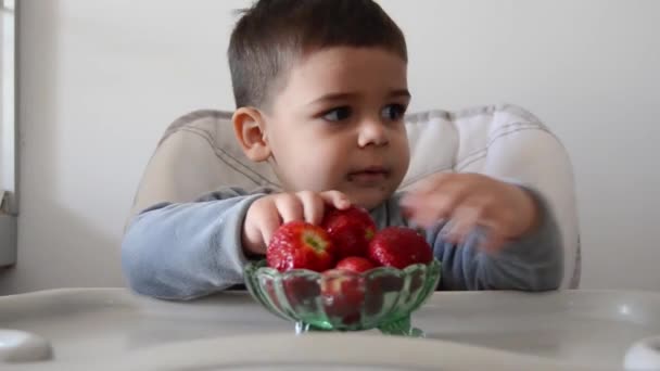 Милый нетерпеливый двухлетний мальчик не может ждать, чтобы съесть клубнику — стоковое видео