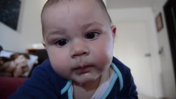 Mignon six mois bébé garçon avoir ventre temps whila baver sur son pull, en essayant d'attraper la caméra — Video