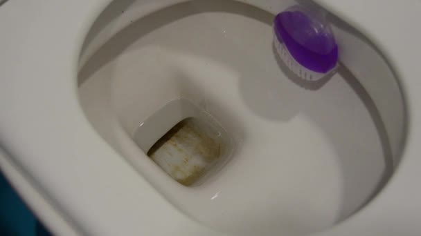 Kvinna hand besprutning toalett skål som ska tvättas — Stockvideo