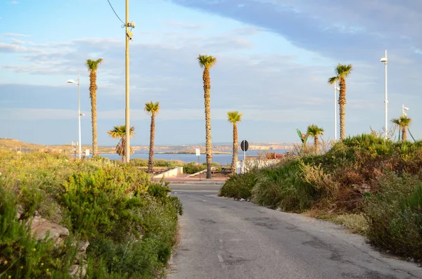 Утренний вид на маленькую улицу, ведущую к побережью на Мальте с голубым небом и множеством пальм — стоковое фото
