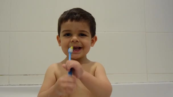 Lindo niño de dos años cepillándose los dientes en la bañera — Vídeos de Stock