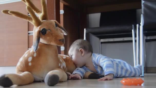 Lindo niño de seis meses de edad jugando en el suelo en su barriga y haciendo muy divertido expresiones de la cara sorprendente — Vídeos de Stock