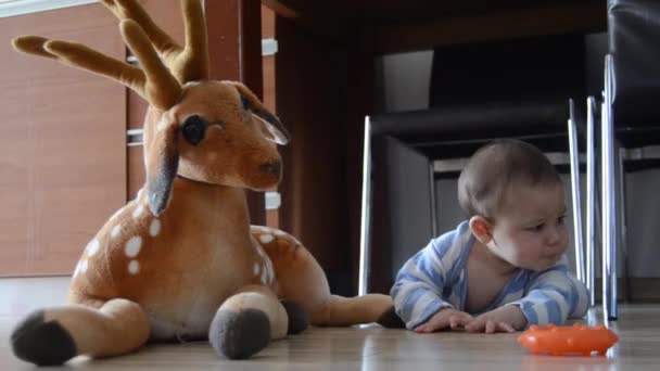 Mignon six mois bébé garçon jouer sur le sol sur son ventre et faire des expresions visage surprenant très drôle — Video