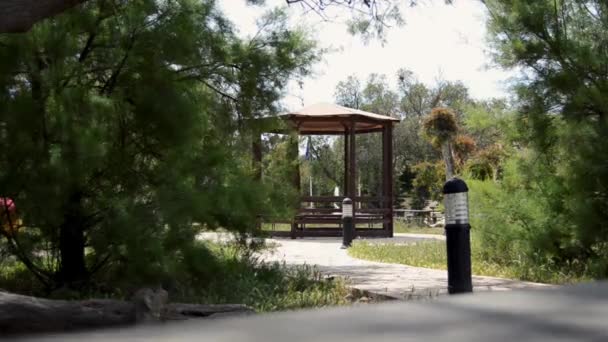 Απολαμβάνοντας την ημέρα στη φύση-σκηνή από το πάρκο και κιόσκι με νερό σιντριβάνι που διογκώνοντας τα δέντρα — Αρχείο Βίντεο