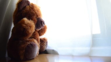 pencere bakarak Teddy ayı
