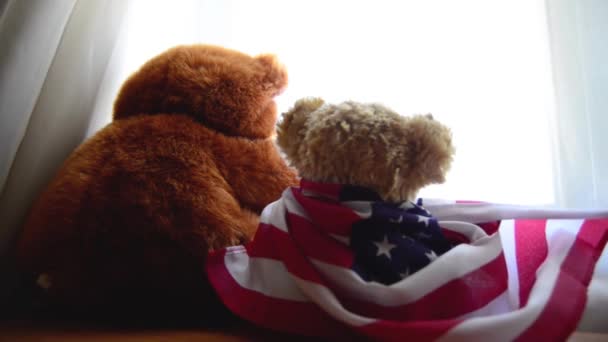 Dos osos de peluche uno con bandera americana mirando a través de la ventana — Vídeos de Stock