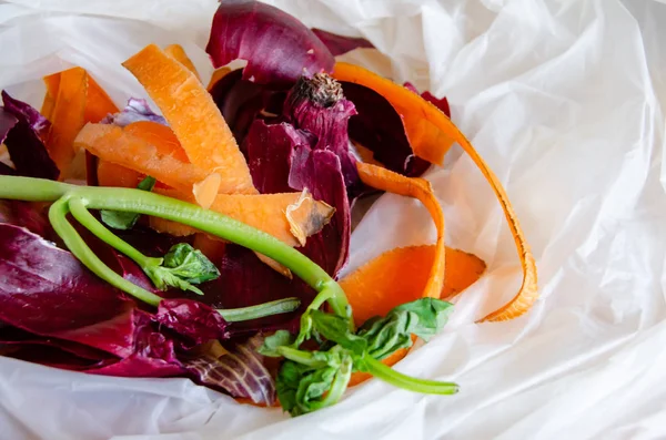 Biyoçözünebilir plastik torbada organik atık