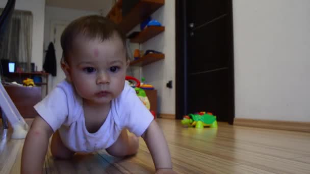 Lindo siete meses viejo bebé niño aprender a gatear, dolly out shot — Vídeo de stock