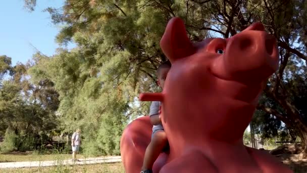 Mignon tout-petit chevauchant un cochon dans le parc tandis que son frère court en arrière-plan — Video