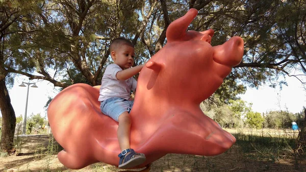 Lindo niño de 2 años montando el cerdo en el parque —  Fotos de Stock