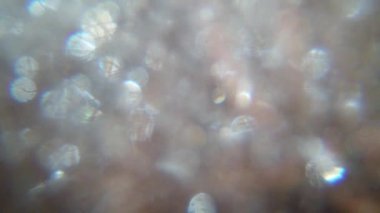 Sabun köpüğü patlatan baloncuklar makro çekim