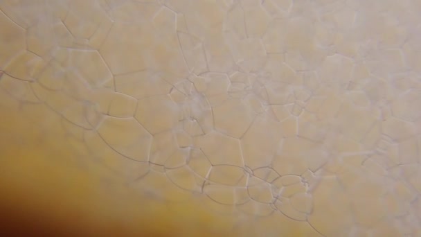 Αφρός σαπουνιού σκάει φυσαλίδες — Αρχείο Βίντεο