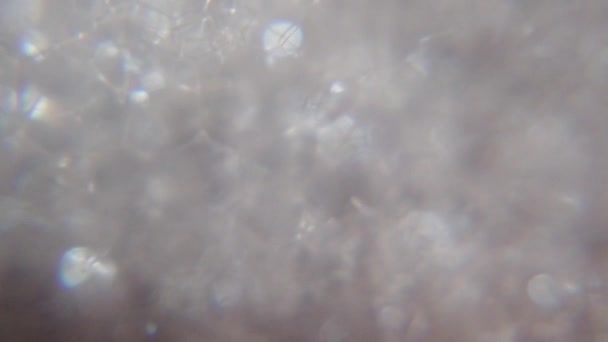 Zeepschuim knallen bellen macro shot — Stockvideo