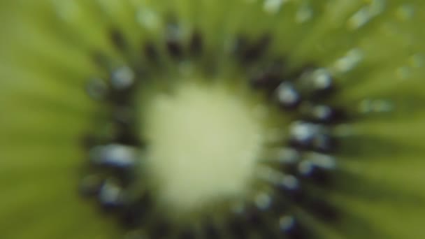 Macro shot, rebanada de kiwi fresco jugoso. — Vídeos de Stock