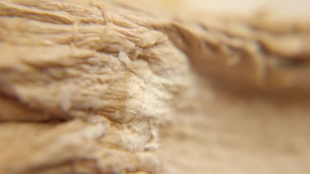 Macro shot of the ginger root — Stock Video