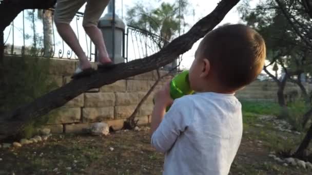 Χαριτωμένο αγοράκι που πίνει νερό και δείχνει τον μπαμπά να σκαρφαλώνει στο δέντρο. — Αρχείο Βίντεο