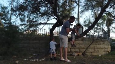 Baba ve oğulları parkta oynuyorlar. Baba oğluna ağaca tırmanmayı öğretiyor. Bebek ağaç kabuğuyla oynuyor.