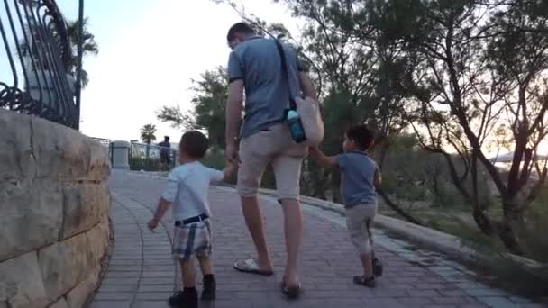 Achteraanzicht van vader met twee jonge zoons wandelend op het pad in het park — Stockvideo