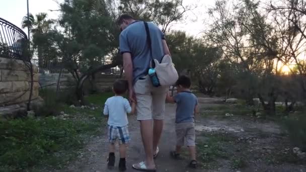 Vista trasera del padre con dos hijos pequeños caminando por el camino en el parque — Vídeos de Stock