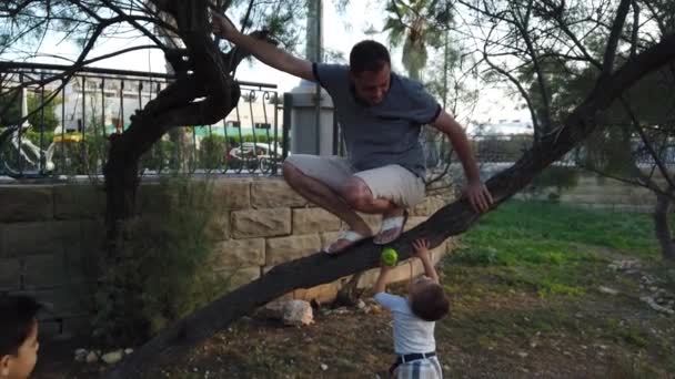 Pai agacha na árvore para ensinar as crianças a brincar ao ar livre. — Vídeo de Stock