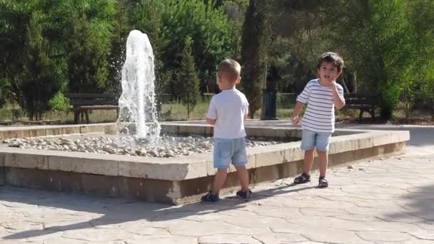 愛らしい子供たち、噴水を見ている兄弟。兄が石を落として — ストック動画