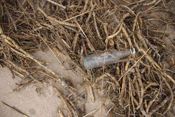 Стеклянная бутылка и тростник, мусор на пляже. Загрязнение окружающей среды Спаси планету. Экологическая проблема. Грязная береговая линия. Природа . — стоковое фото