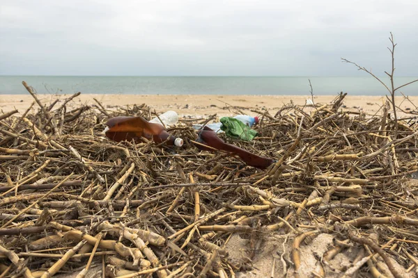 Мусор на пляже. Пустые пластиковые бутылки и сухая камыш на песке. Загрязнение окружающей среды Спаси планету. Экологическая проблема. Грязная береговая линия. Природа . — стоковое фото