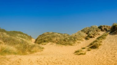 Camber Sands Beach kum tepesine yakın, Doğu Sussex, İngiltere