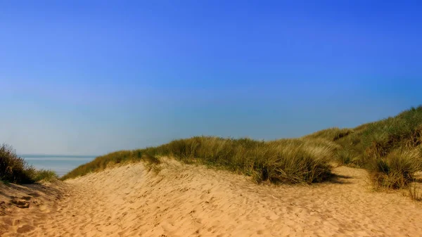 Nahaufnahme Auf Der Düne Camber Sands Beach East Sussex Großbritannien — Stockfoto