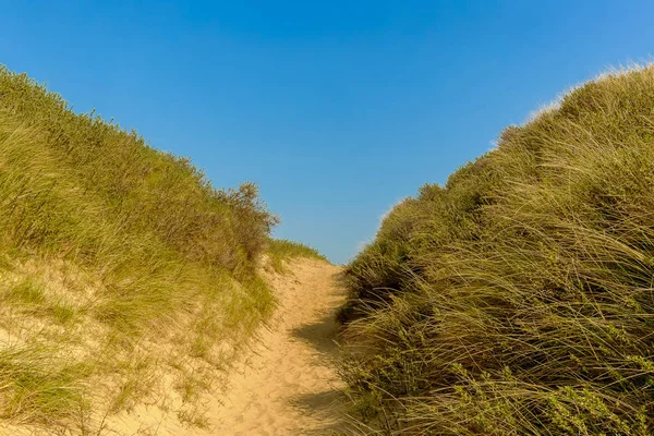 Fechar Camber Sands Beach Dune East Sussex Reino Unido — Fotografia de Stock
