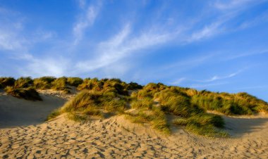 Camber Sands Beach kum tepesine yakın, Doğu Sussex, İngiltere