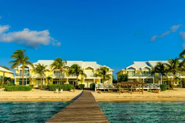 Küçük Cayman, Cayman Adaları, Kasım 2018, Karayip Denizi kabuklu kulüpler