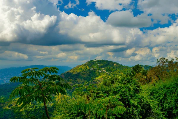 Kilátás Kék Hegység Jamaica — Stock Fotó