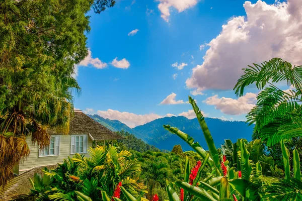 Blue Mountains Jamaica Dec 2018 Strawberry Hill Hotel House — Stock Photo, Image