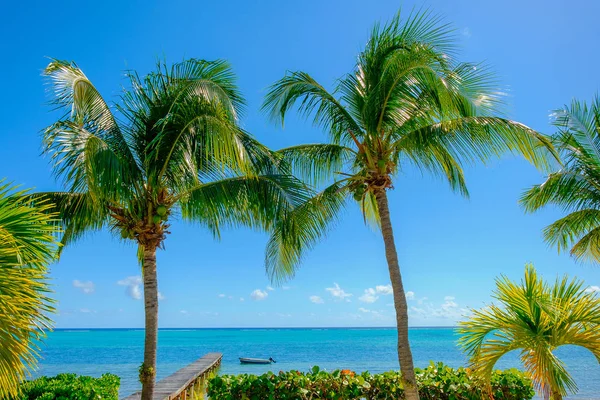 View Caribbean Sea Room South Hole Sound Little Cayman Cayman — Stock Photo, Image