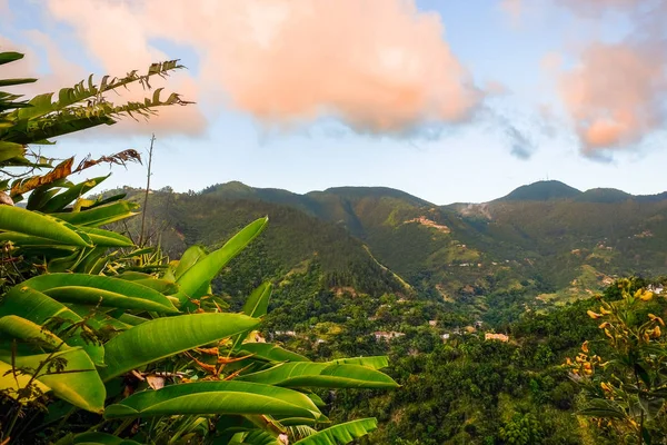 Widok Błękitnych Gór Zachodzie Słońca Jamajka — Zdjęcie stockowe