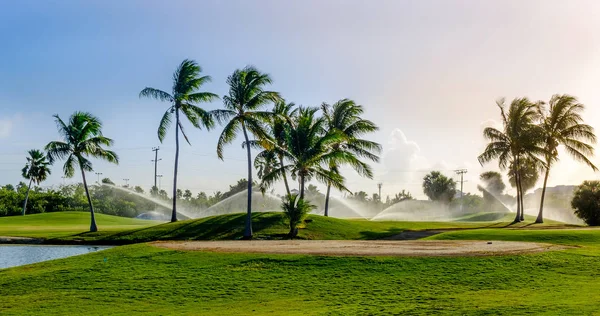 Golf Sahası Grand Cayman üzerinde sulanmış olmak