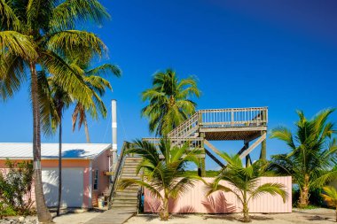 Little Cayman, Cayman Adaları, Kas 2018, Bubi Gölü ve Guy Banks yolu arasındaki gözlemevi güvertesi 