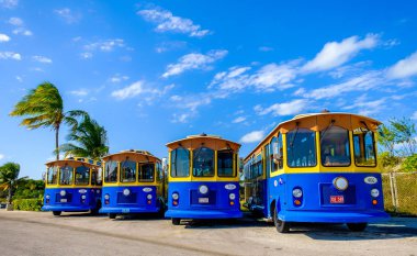 Grand Cayman, Cayman Adaları, Ocak 2019, Marineland Tours şirketinden mavi tramvay otobüsleri park