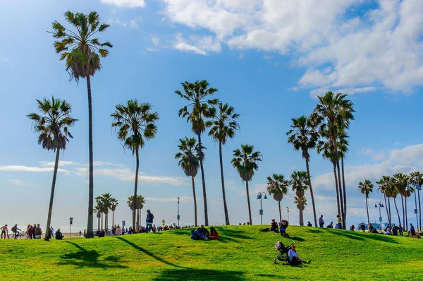 カリフォルニア州 2019年3月 ヴェネツィア ビーチ オーシャン フロントの芝生の上の人々はその日を楽しんで歩く — ストック写真