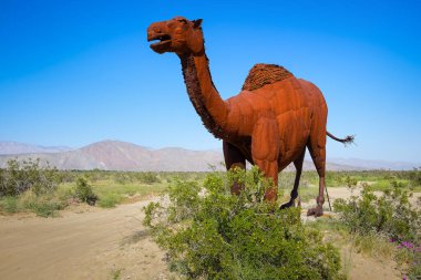 Kaliforniya, ABD, Mart 2019, Anza-Borrego Çölü Eyalet Parkı 'nda sanatçı Ricardo Breceda' nın dromedary metal heykeli