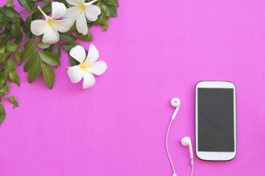 pembe renkli arka plan üzerinde beyaz çiçek frangipani ile cep telefonu kulaklık