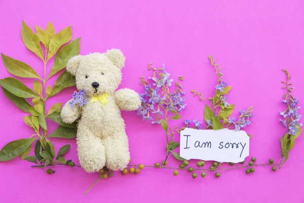 Siento Mensaje Tarjeta Escritura Osito Peluche Con Arreglo Flores Púrpura —  Fotos de Stock