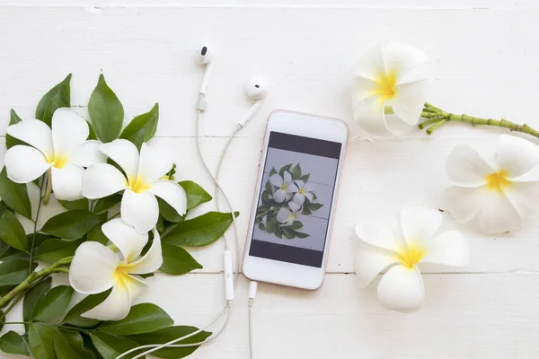 mobile phone with white flower frangipani arrangement on background white wooden