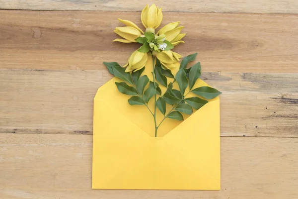 Ylang Ylang Bloem Gele Envelop Regeling Achtergrond Houten — Stockfoto