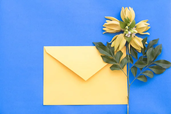 Ylang Ylang Bloem Gele Envelop Regeling Blauwe Achtergrond — Stockfoto