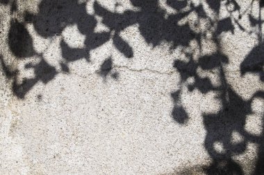 arka plan doku yüzey çimento var Gölge on kat kavramı ışık ve gölge