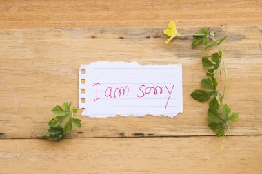 Özür dilerim mesaj kart el yazısı ile ahşap zemin üzerine sarı çiçek olduğumu
