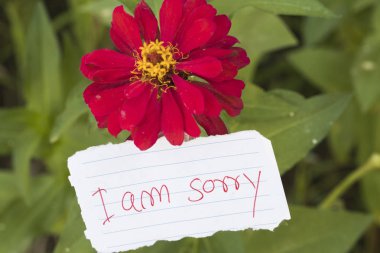 Im'üzgün mesaj kart el yazısı ile renkli çiçek 