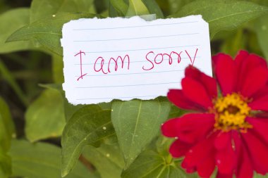 Im'üzgün mesaj kart el yazısı ile renkli çiçek 